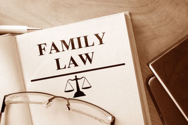 Family Law book